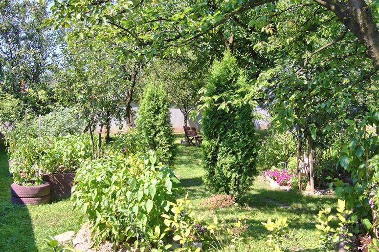 Fruit and vegetable garden