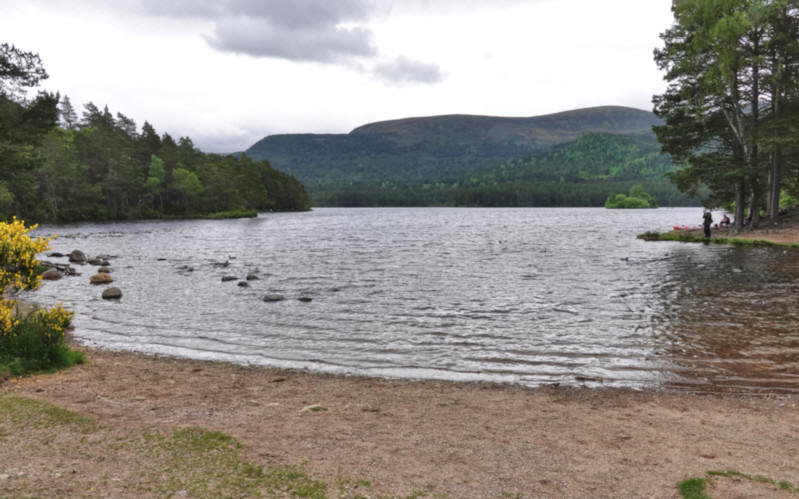 Loch An Eilean, Cairngorms