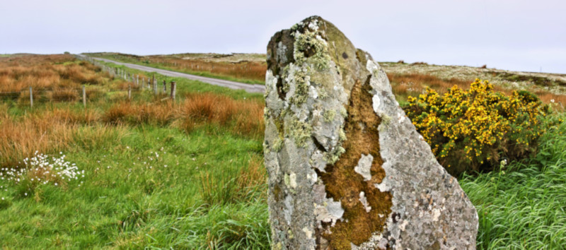 Achavanich Standing Stones