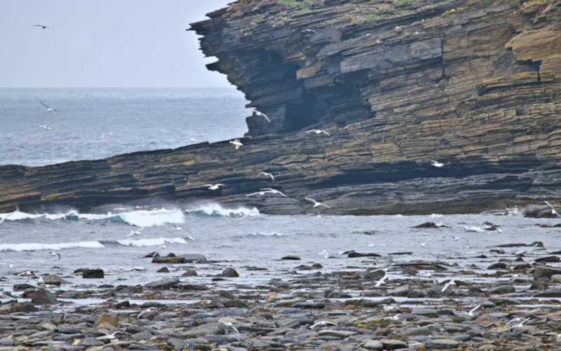 Birsay Bay, Orkney