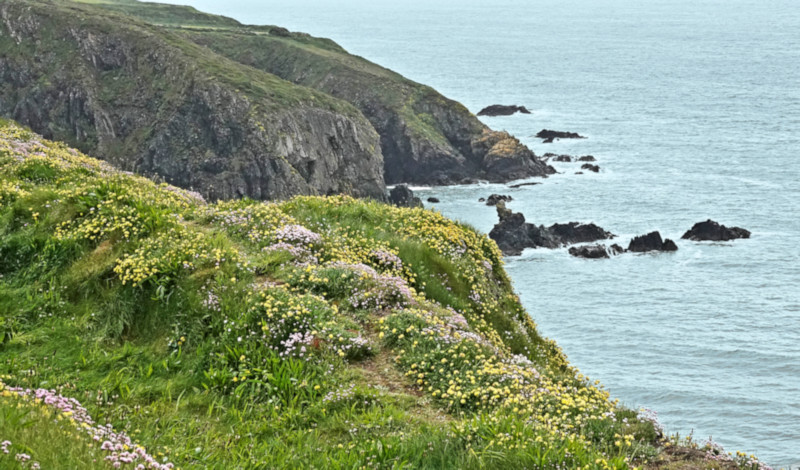 Copper Coast, County Waterford, Ireland