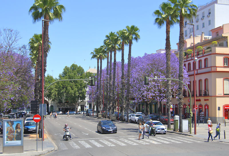 One of the wide streets in Seville, Spain